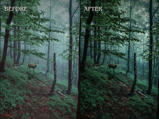 40+ FOREST Lightroom Presets (Mobile & Desktop)