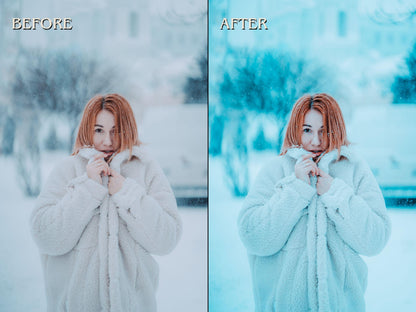 30+ WINTER Lightroom Presets (Mobile & Desktop)