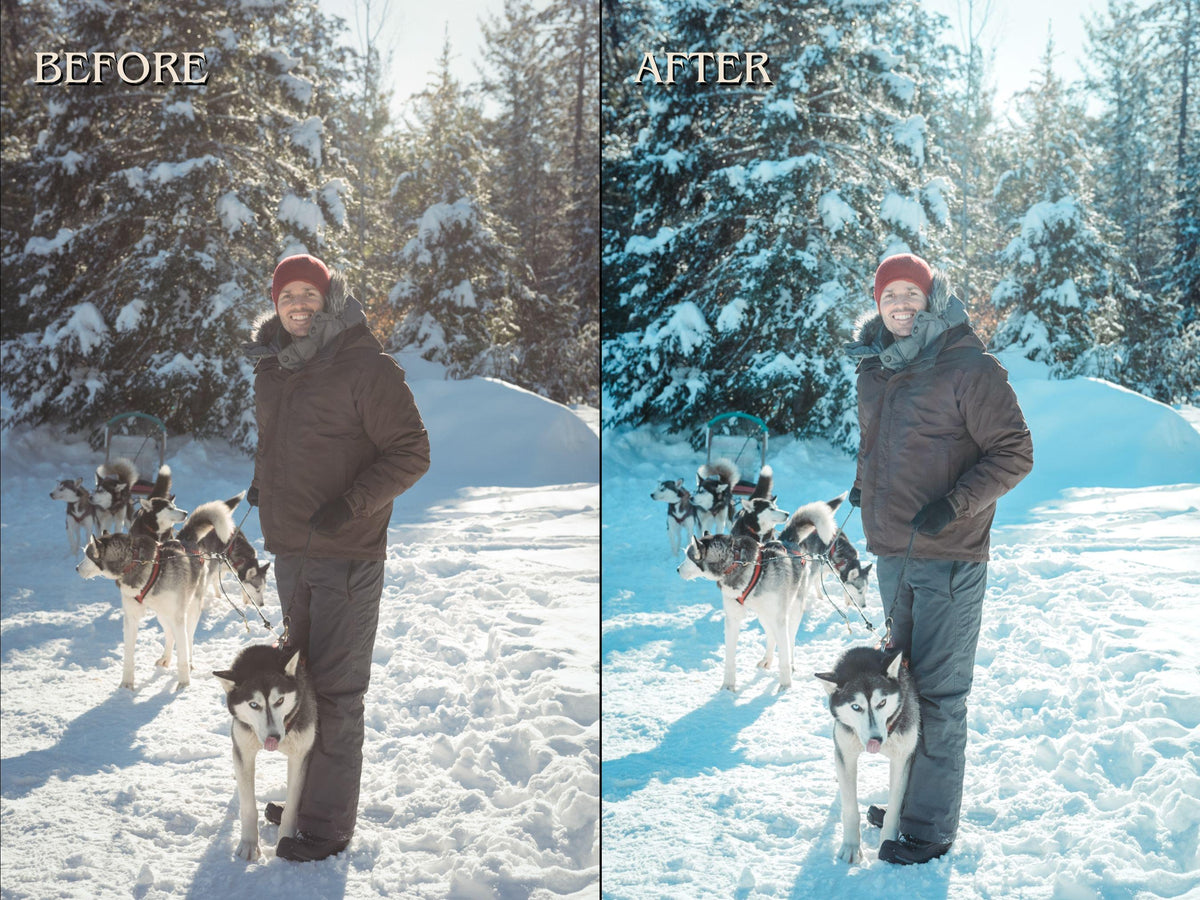 30+ WINTER Lightroom Presets (Mobile & Desktop)