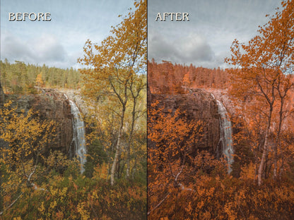 40+ AUTUMN FALL Lightroom Presets (Mobile & Desktop)