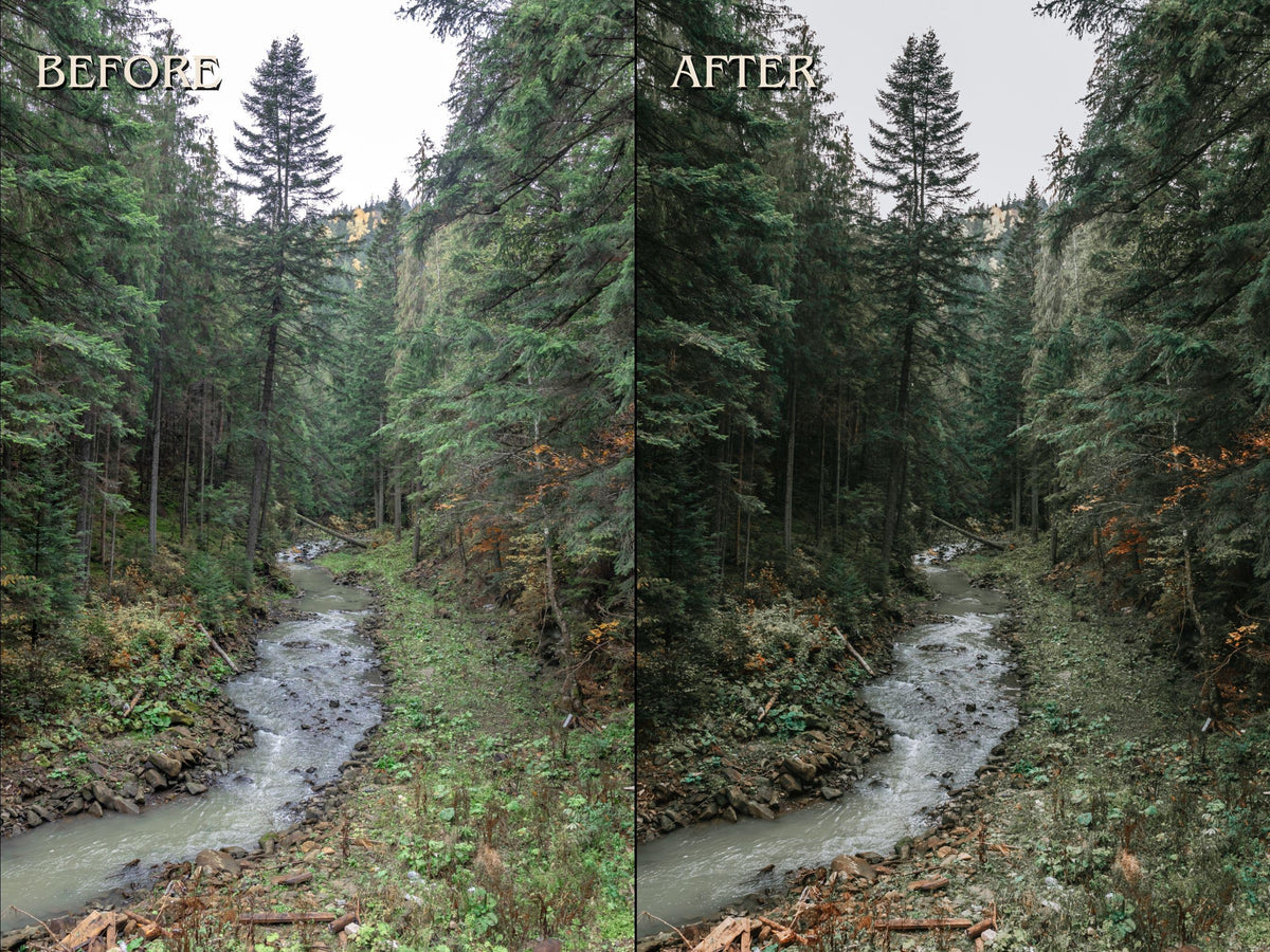 30+ GREEN Lightroom Presets (Mobile & Desktop)