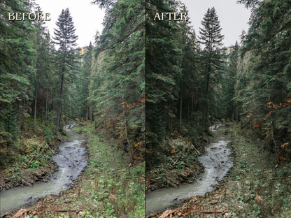30+ GREEN Lightroom Presets (Mobile & Desktop)
