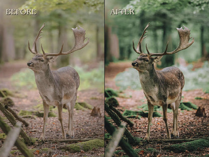 600+ OUTDOOR Lightroom Presets (Mobile & Desktop)