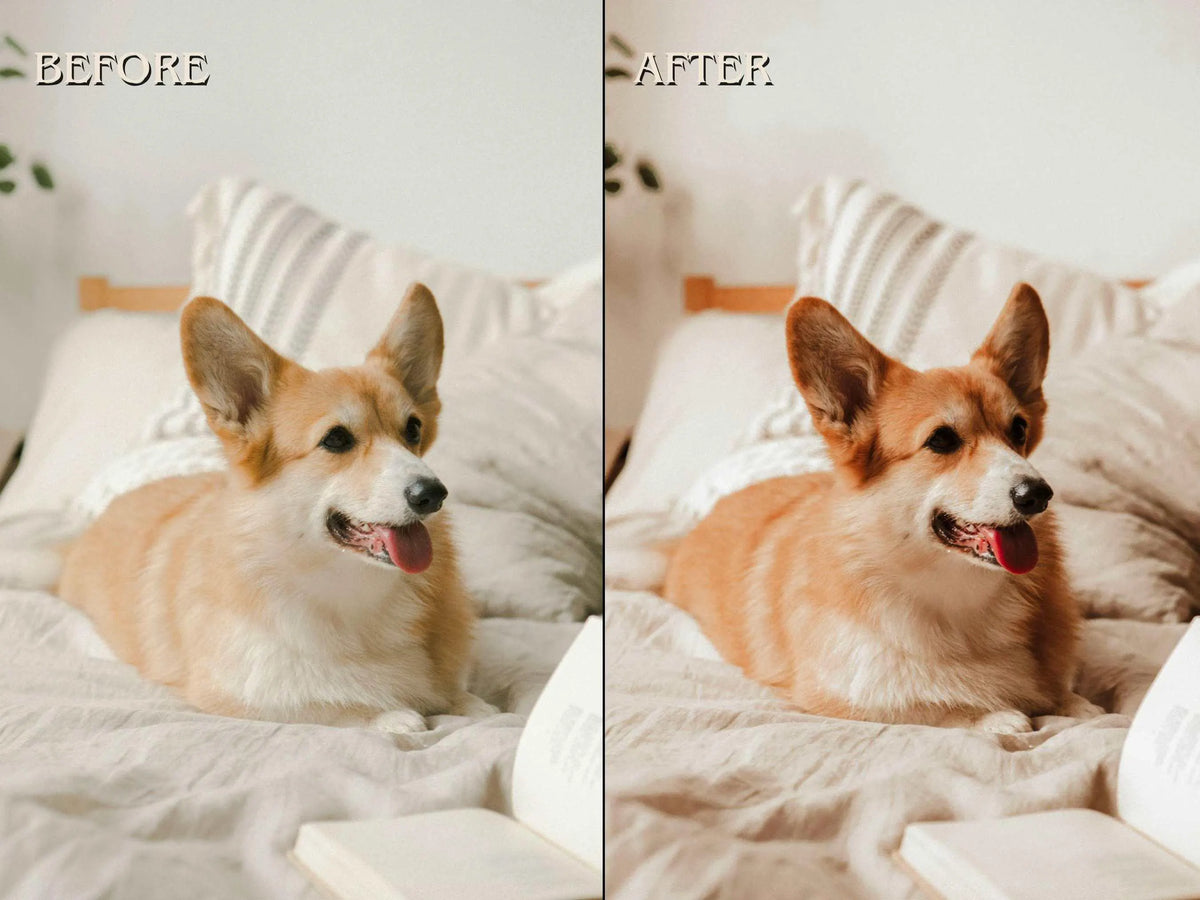 500+ PETS Lightroom Presets (Mobile & Desktop)