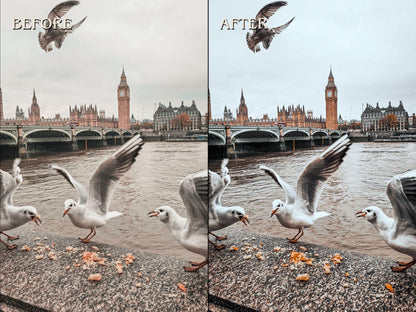 40+ LONDON Lightroom Presets (Mobile & Desktop)
