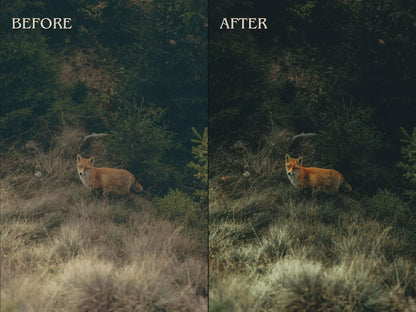 600+ OUTDOOR Lightroom Presets (Mobile & Desktop)