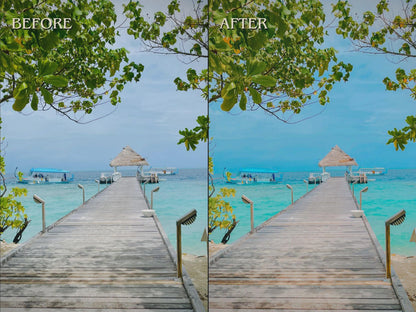 500+ SUMMER Lightroom Presets (Mobile & Desktop)