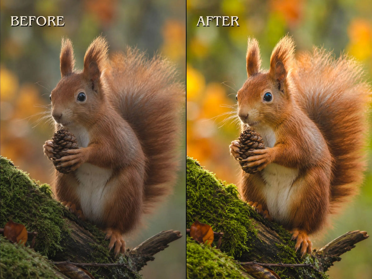 500+ NATURE Lightroom Presets (Mobile & Desktop)