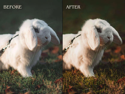 500+ PETS Lightroom Presets (Mobile & Desktop)