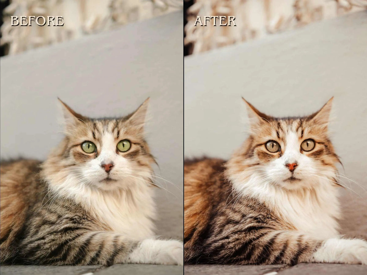 500+ PETS Lightroom Presets (Mobile & Desktop)