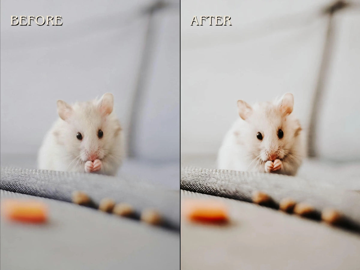 500+ PETS Lightroom Presets (Mobile & Desktop)