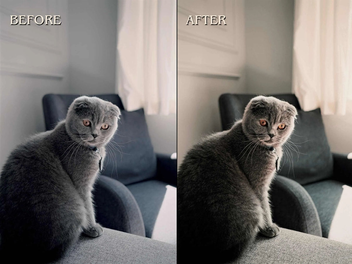 500+ PETS Lightroom Presets (Mobile & Desktop)