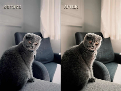 500+ PETS Lightroom Presets (Mobile & Desktop)