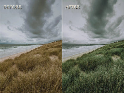 330+ MOODY Lightroom Presets (Mobile & Desktop)
