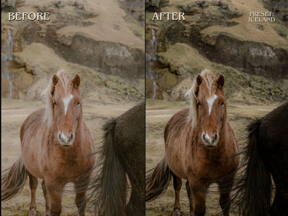 300+ HORSE Lightoom Presets (Mobile & Desktop)