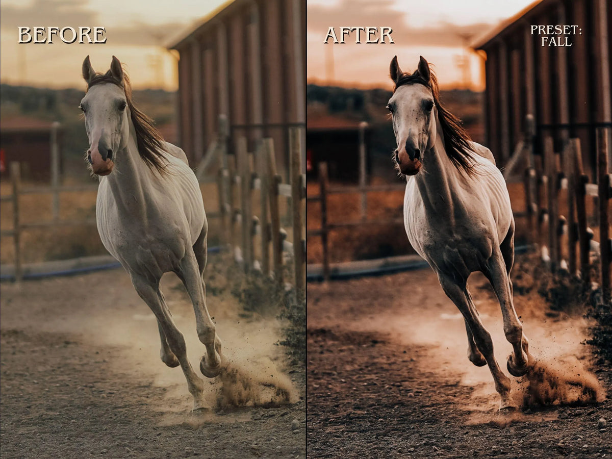 300+ HORSE Lightoom Presets (Mobile & Desktop)