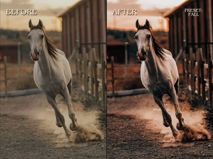 300+ HORSE Lightoom Presets (Mobile & Desktop)