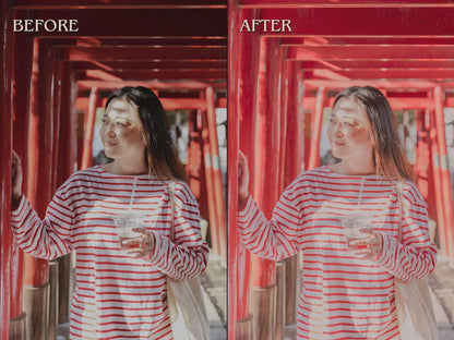 300+ JAPAN Lightroom Presets (Mobile & Desktop)