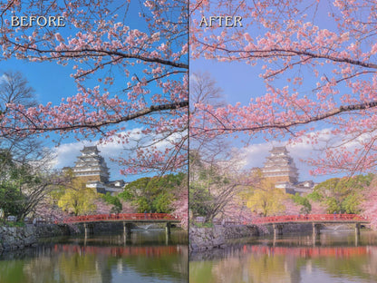 300+ JAPAN Lightroom Presets (Mobile & Desktop)