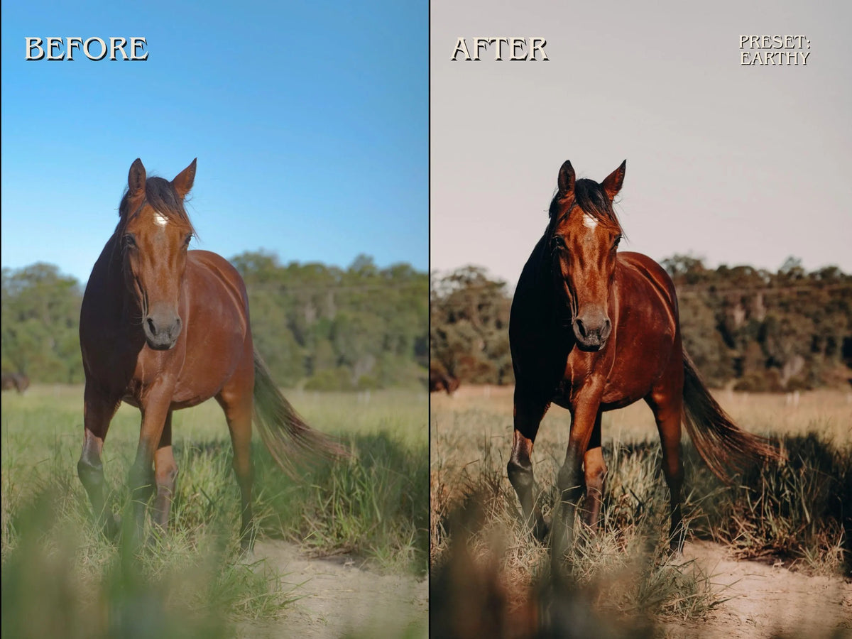 300+ HORSE Lightoom Presets (Mobile & Desktop)