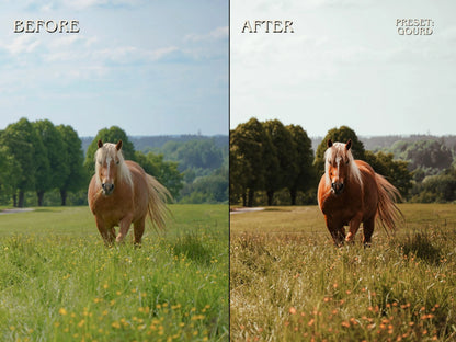 300+ HORSE Lightoom Presets (Mobile & Desktop)