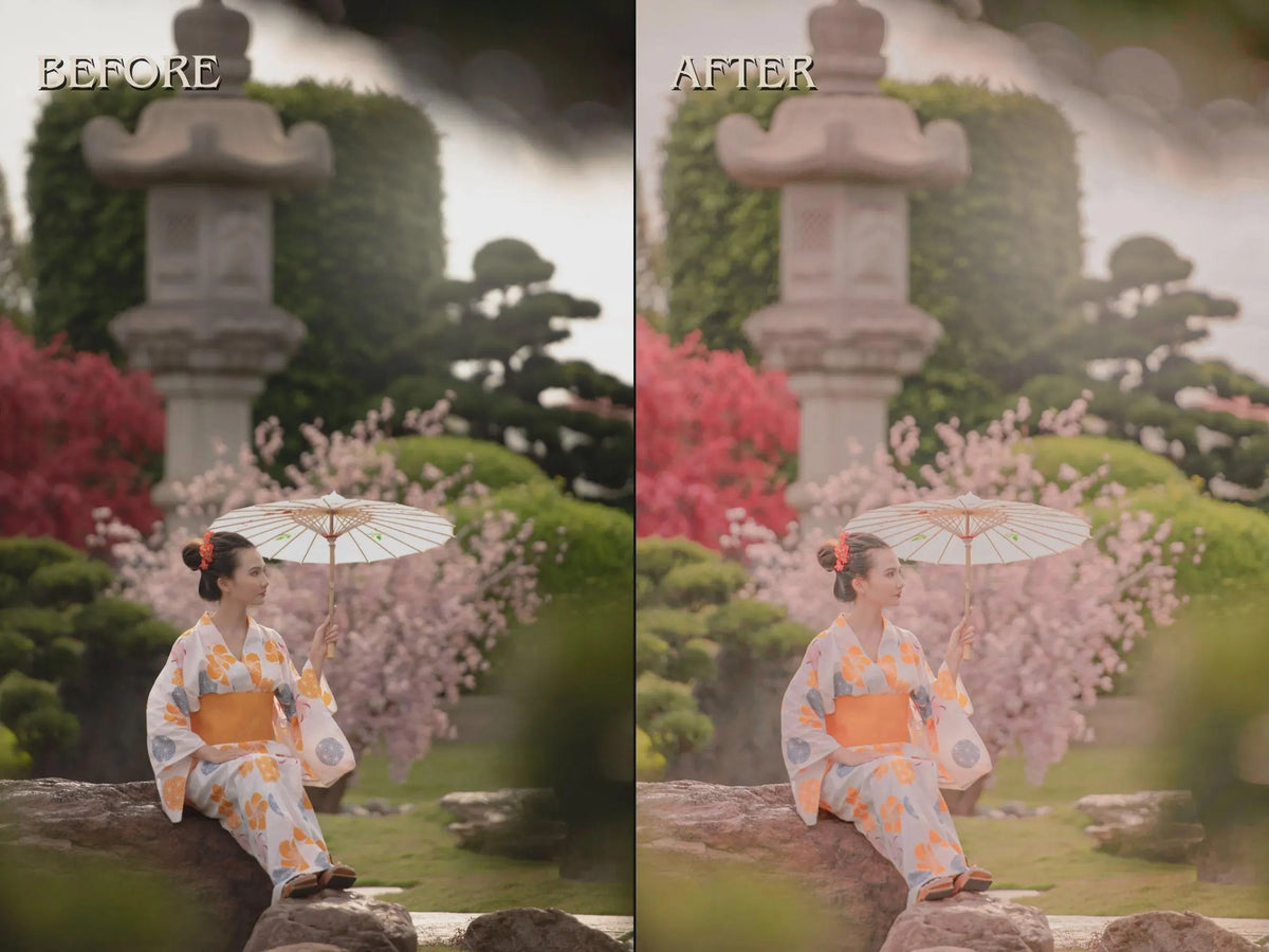 300+ JAPAN Lightroom Presets (Mobile & Desktop)