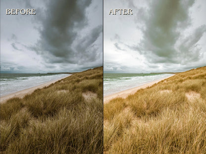 10 NATURAL Lightroom Presets (Mobile & Desktop)