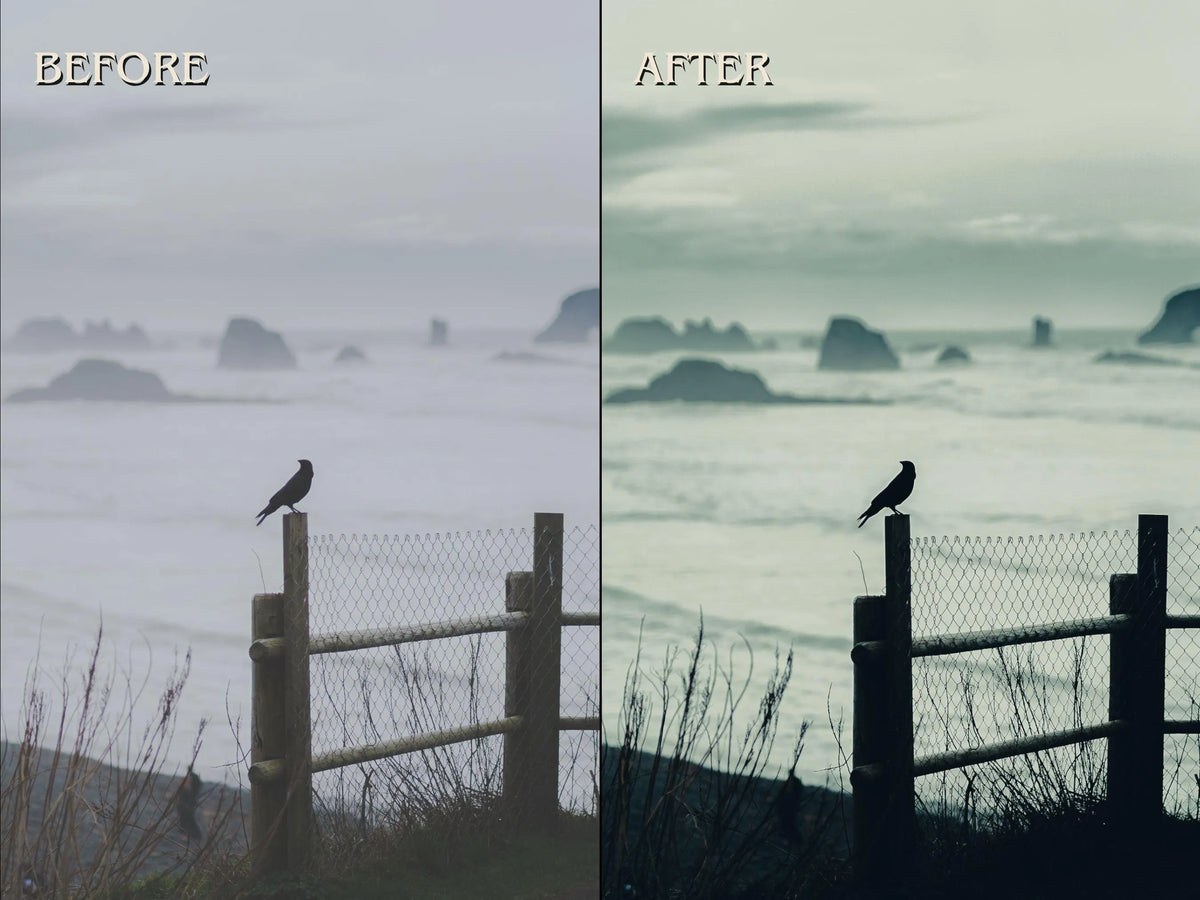 50+ CINEMATIC Lightroom Presets (Mobile & Desktop)