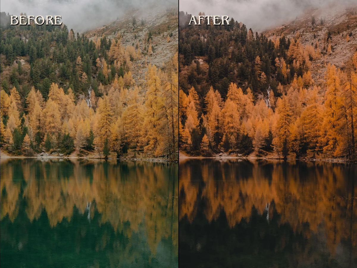 40+ AUTUMN FALL Lightroom Presets (Mobile & Desktop)