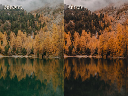 40+ AUTUMN FALL Lightroom Presets (Mobile & Desktop)