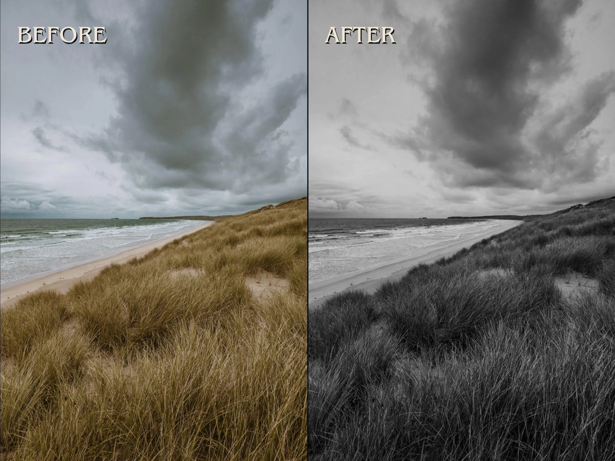 40+ BLACK&WHITE Lightroom Presets (Mobile & Desktop)