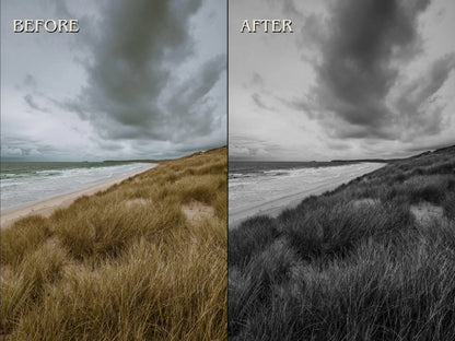 40+ BLACK&WHITE Lightroom Presets (Mobile & Desktop)