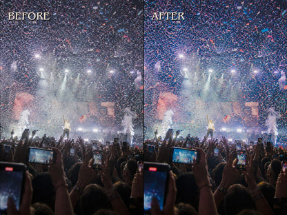 30+ CONCERT Lightroom Presets (Mobile & Desktop)