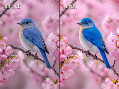 40+ WILDLIFE Lightroom Presets (Mobile & Desktop)