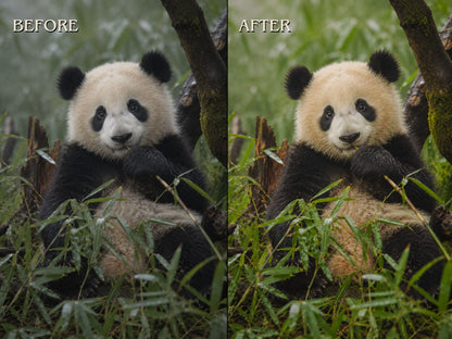 40+ WILDLIFE Lightroom Presets (Mobile & Desktop)