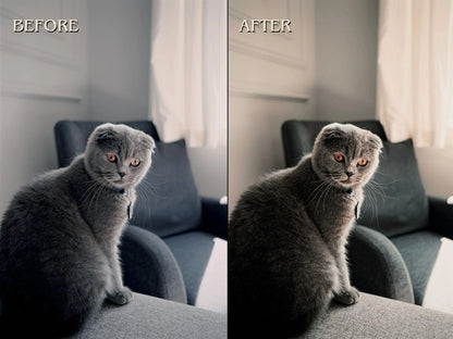50+ PET LOVER Lightroom Presets (Mobile & Desktop)