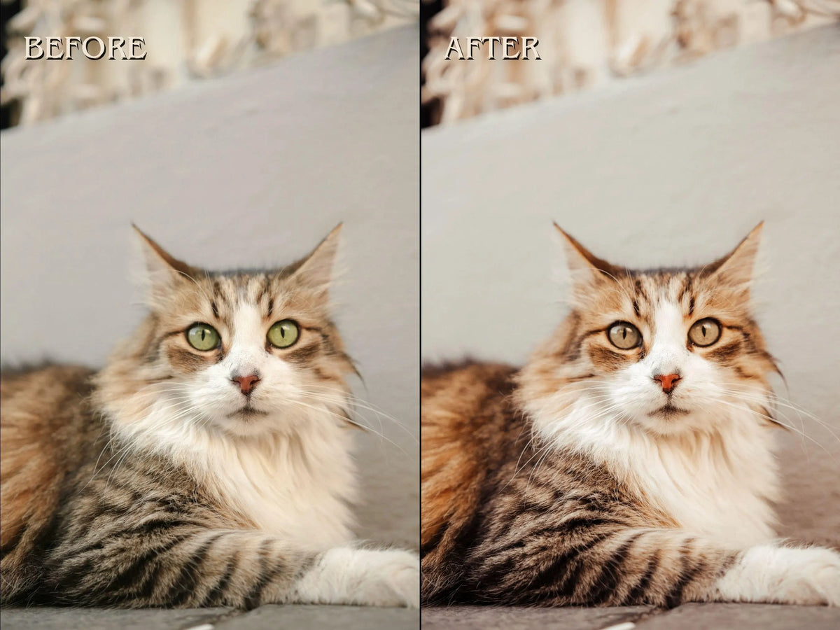 50+ PET LOVER Lightroom Presets (Mobile & Desktop)