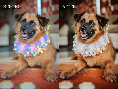 50+ PET LOVER Lightroom Presets (Mobile & Desktop)