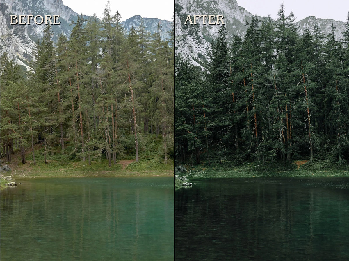 40+ FOREST Lightroom Presets (Mobile & Desktop)