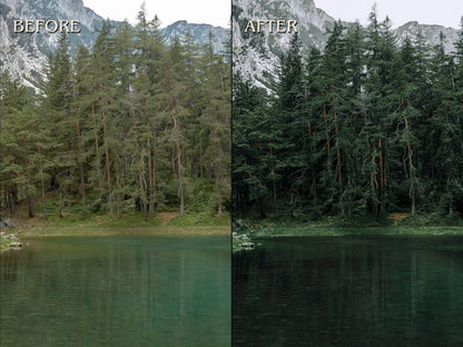 40+ FOREST Lightroom Presets (Mobile & Desktop)