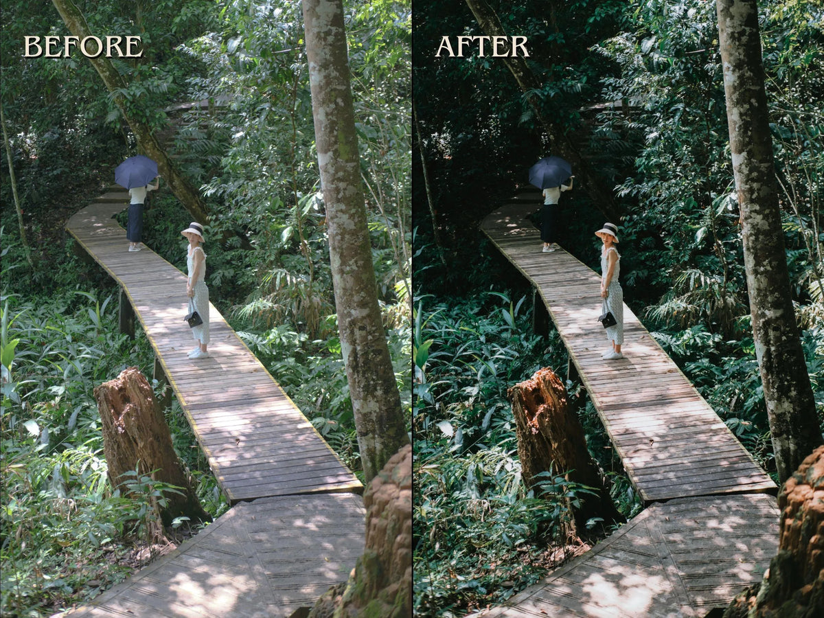 40+ FOREST Lightroom Presets (Mobile & Desktop)
