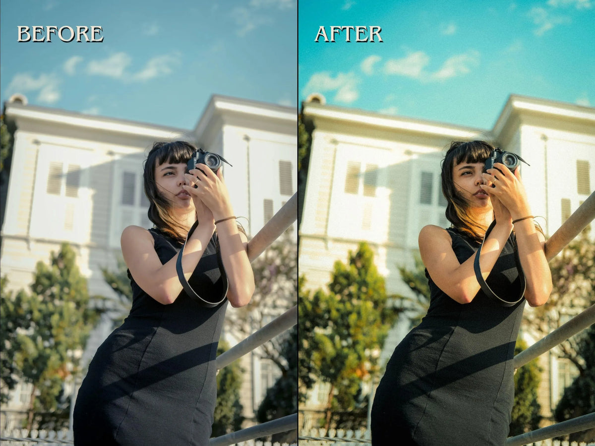 60+ LEICA FILM Lightroom Presets (Mobile & Desktop)