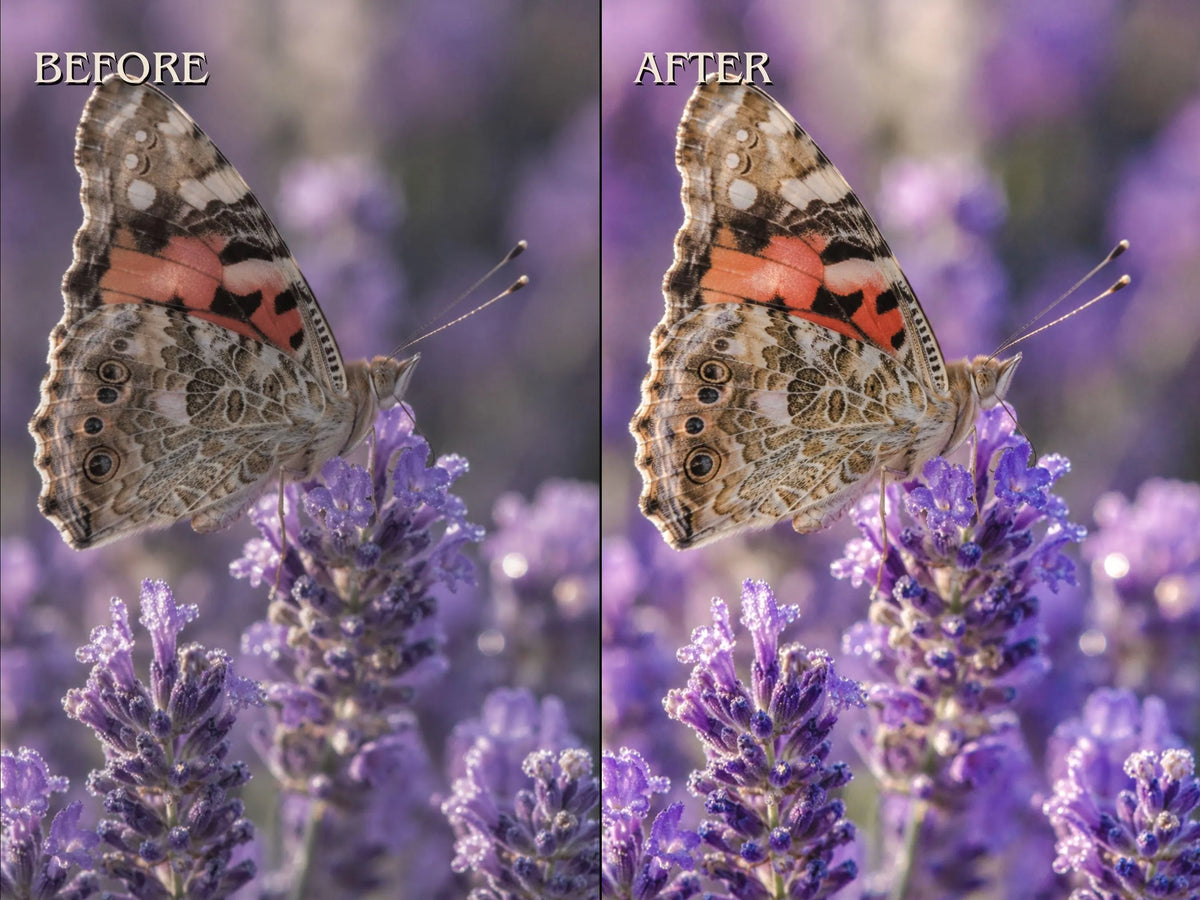 40+ WILDLIFE Lightroom Presets (Mobile & Desktop)