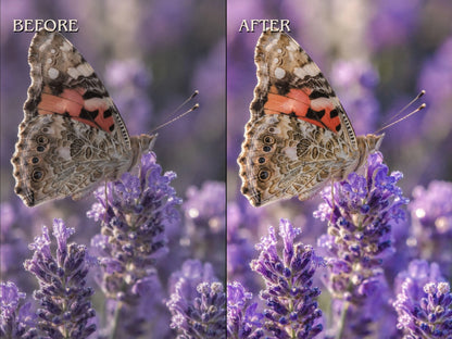 40+ WILDLIFE Lightroom Presets (Mobile & Desktop)