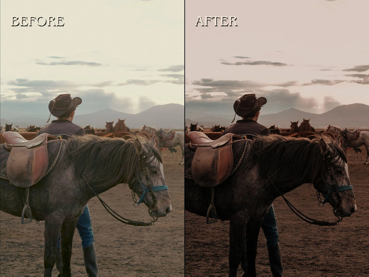 40+ WESTERN Lightroom Presets (Mobile & Desktop)