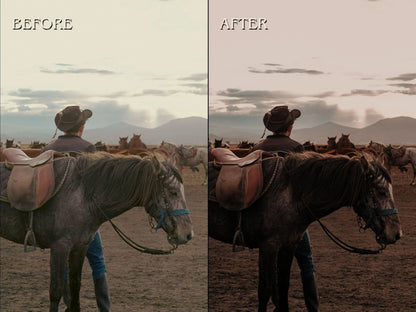 40+ WESTERN Lightroom Presets (Mobile & Desktop)
