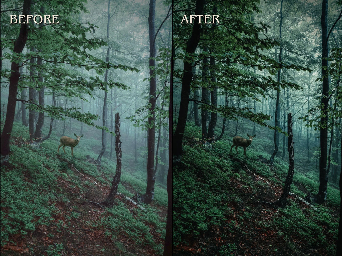 40+ FOREST Lightroom Presets (Mobile & Desktop)