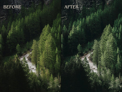 40+ FOREST Lightroom Presets (Mobile & Desktop)