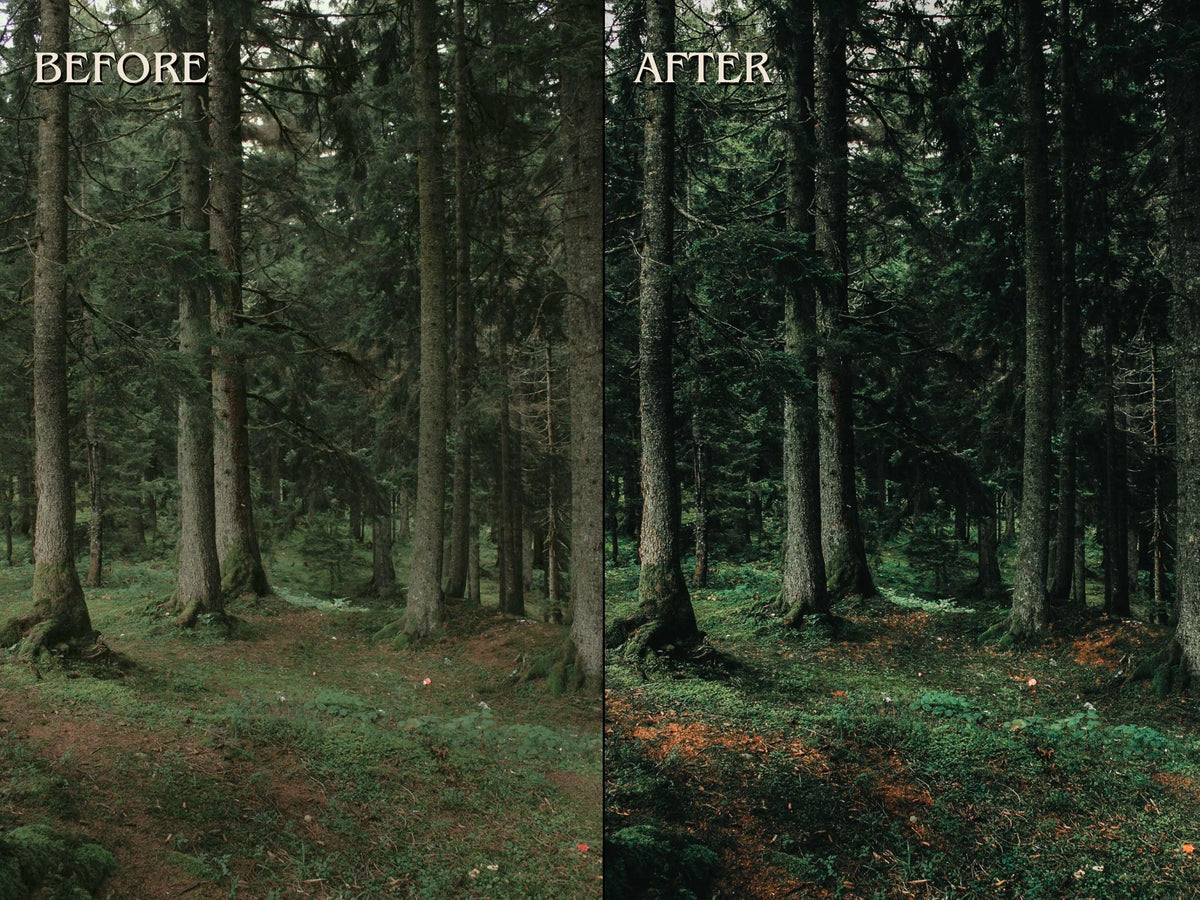40+ FOREST Lightroom Presets (Mobile & Desktop)