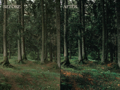 40+ FOREST Lightroom Presets (Mobile & Desktop)